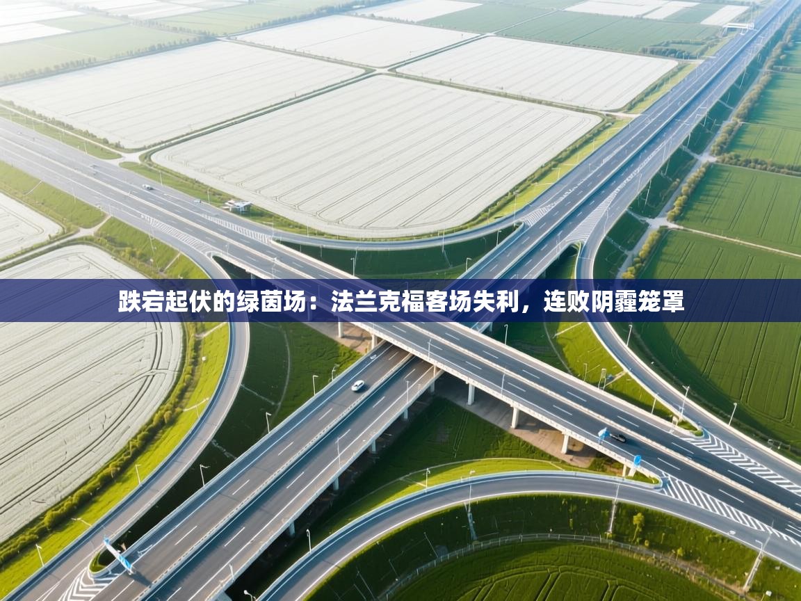 跌宕起伏的绿茵场:法兰克福客场失利,连败阴霾笼罩 第1张