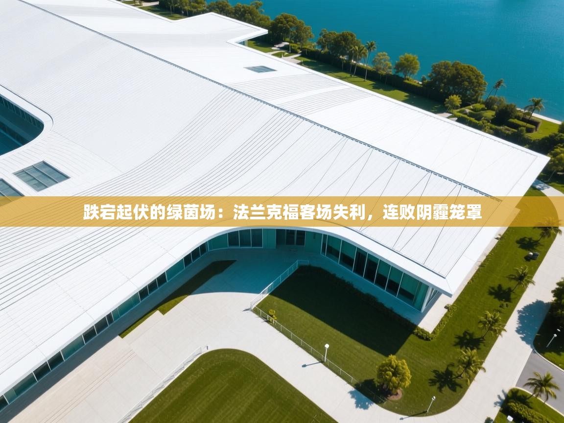 跌宕起伏的绿茵场:法兰克福客场失利,连败阴霾笼罩 第2张