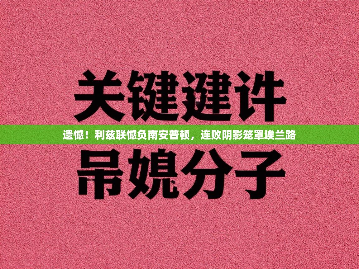 遗憾!利兹联憾负南安普顿,连败阴影笼罩埃兰路 第1张