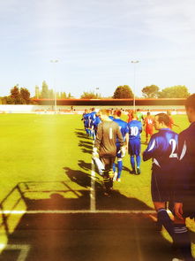 开云体育官网在线-德国队如何在新赛制下争夺国际乒联混合团体世界杯冠军，德国队乒乓  第3张